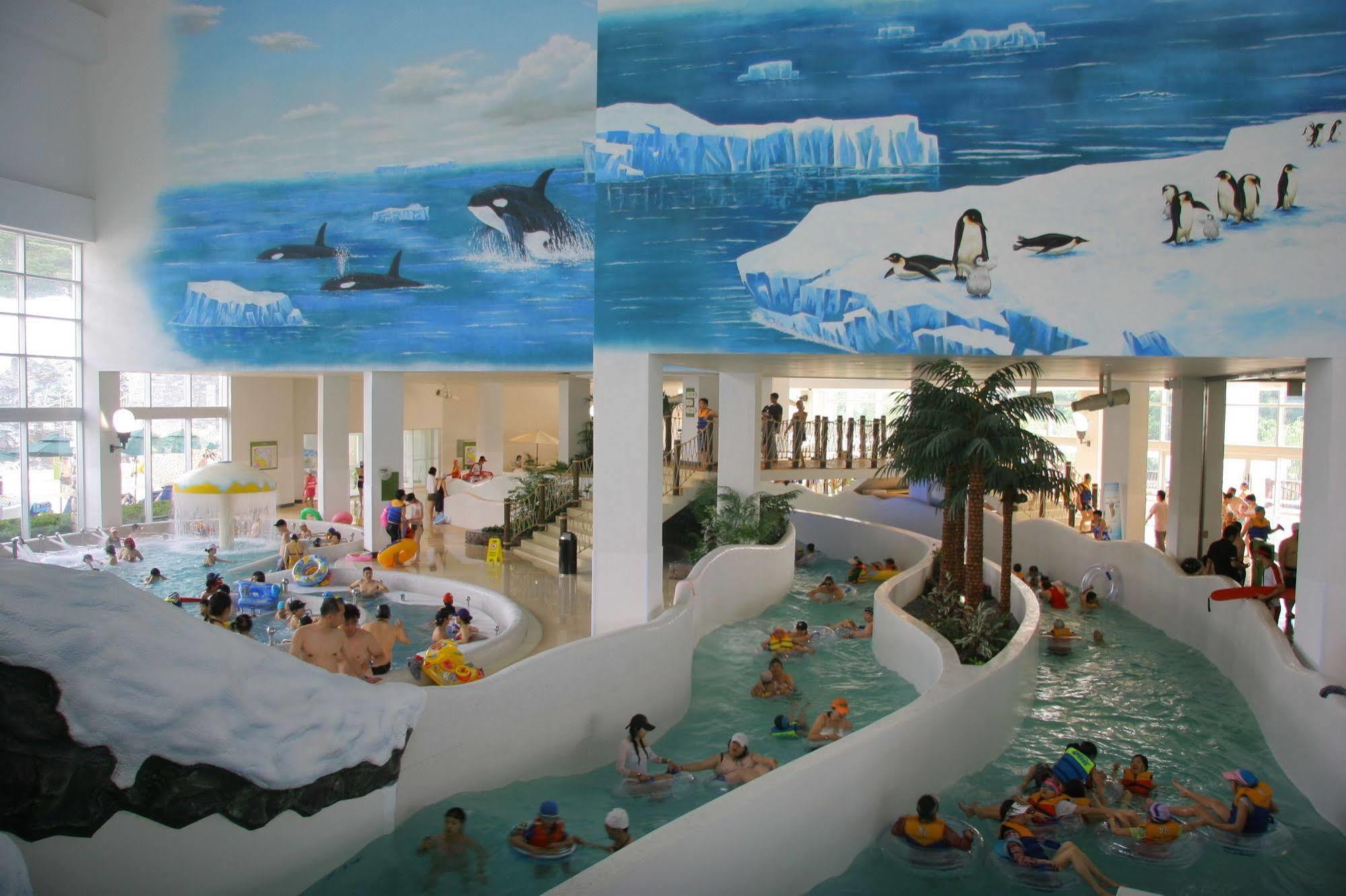 Yongpyong Resort Villa Condominium Pjongczang Zewnętrze zdjęcie